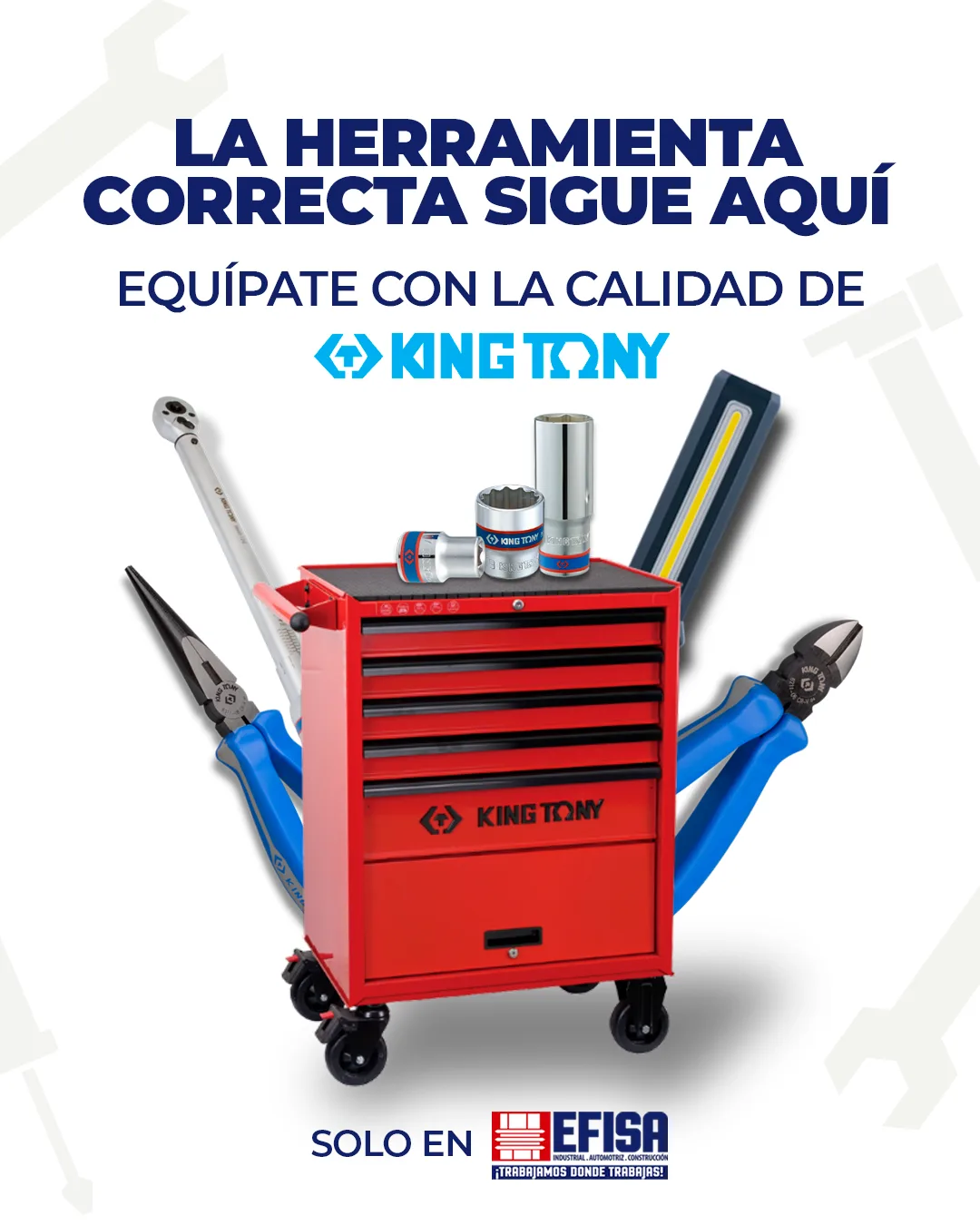 Ferrisa / Efisa — imagen 2 de 2